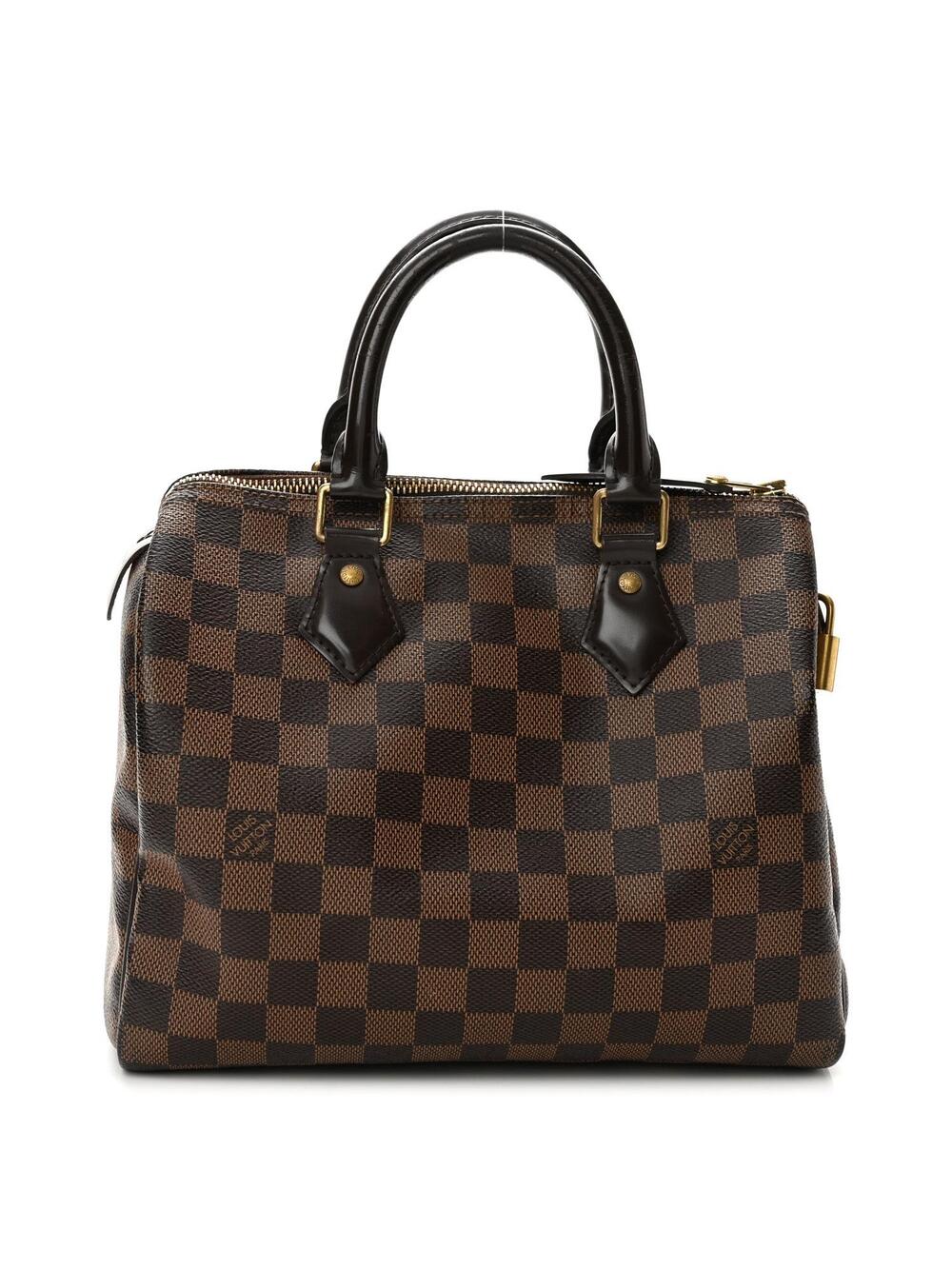 Louis Vuitton Damier Ebene Speedy 25 #370284L10B
